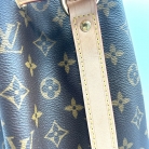 Louis Vuitton Noé Monogram