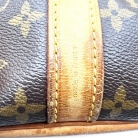 Louis Vuitton Noé Petit Monogram