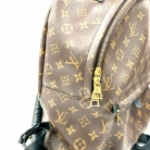Louis Vuitton Palm Springs