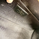 Louis Vuitton Papillon BB