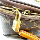 Louis Vuitton Pegase 55