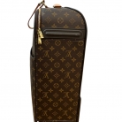 Louis Vuitton Pégase 55