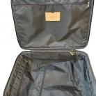 Louis Vuitton Pégase 55