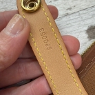 Louis Vuitton Pegase 55