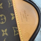 Louis Vuitton Pegase 55