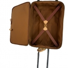 Louis Vuitton Pegase 55