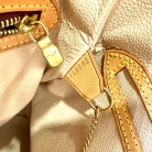 Louis Vuitton Petit Bucket