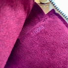 Louis Vuitton Pochette Accessoires Murakami