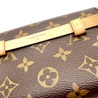 Louis Vuitton Pochette Ceinture Monogram