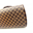 Louis Vuitton Ribera