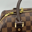 Louis Vuitton ribera Damier