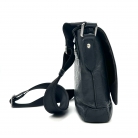 louis vuitton roman pm