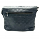 louis vuitton roman pm