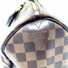 louis vuitton speedy