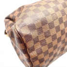 louis vuitton speedy