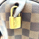louis vuitton speedy