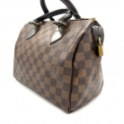 louis vuitton speedy