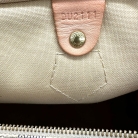 louis vuitton speedy