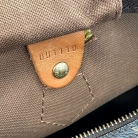 louis vuitton speedy