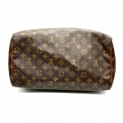 louis vuitton speedy