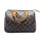 Louis Vuitton Speedy 25