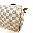 Louis Vuitton Speedy 25