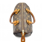 Louis Vuitton Speedy 25