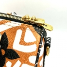 Louis Vuitton Speedy 25 By The Pool Limited Edition