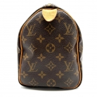 Louis Vuitton Speedy 25 Monogram