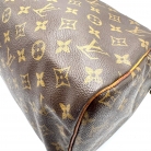Louis Vuitton Speedy 30 monogram