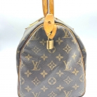 Louis Vuitton Speedy 30 monogram