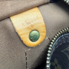 Louis Vuitton Speedy 30 monogram