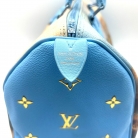 Louis Vuitton Speedy 30 Turner