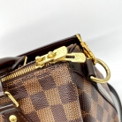 louis vuitton speedy bandouliere