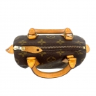 Louis Vuitton Speedy Nano
