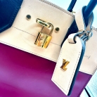 louis vuitton steamer