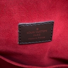 louis vuitton trevi GM damier ebane