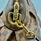 louis vuitton trevi GM damier ebane