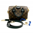 Louis Vuitton Speedy Trunk 20