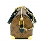 Louis Vuitton Speedy Trunk 20