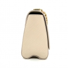 Louis Vuitton Twist PM