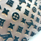 louis vuitton velvet monogram