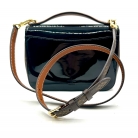 Louis Vuitton Vernis Vivienne