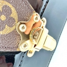 Louis Vuitton Vernis Vivienne