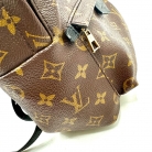 louis vuitton palm spring