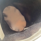 Louis Vuitton micro bucket