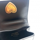 mini dolce gabbana devotion
