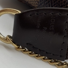 Limited Edition Mini Pochette Louis vuitton