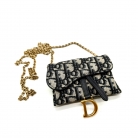 Mini Saddle Dior