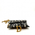 Mini Saddle Dior